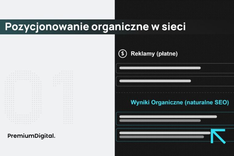 Na zdjęciu pozycjonowanie organiczne.