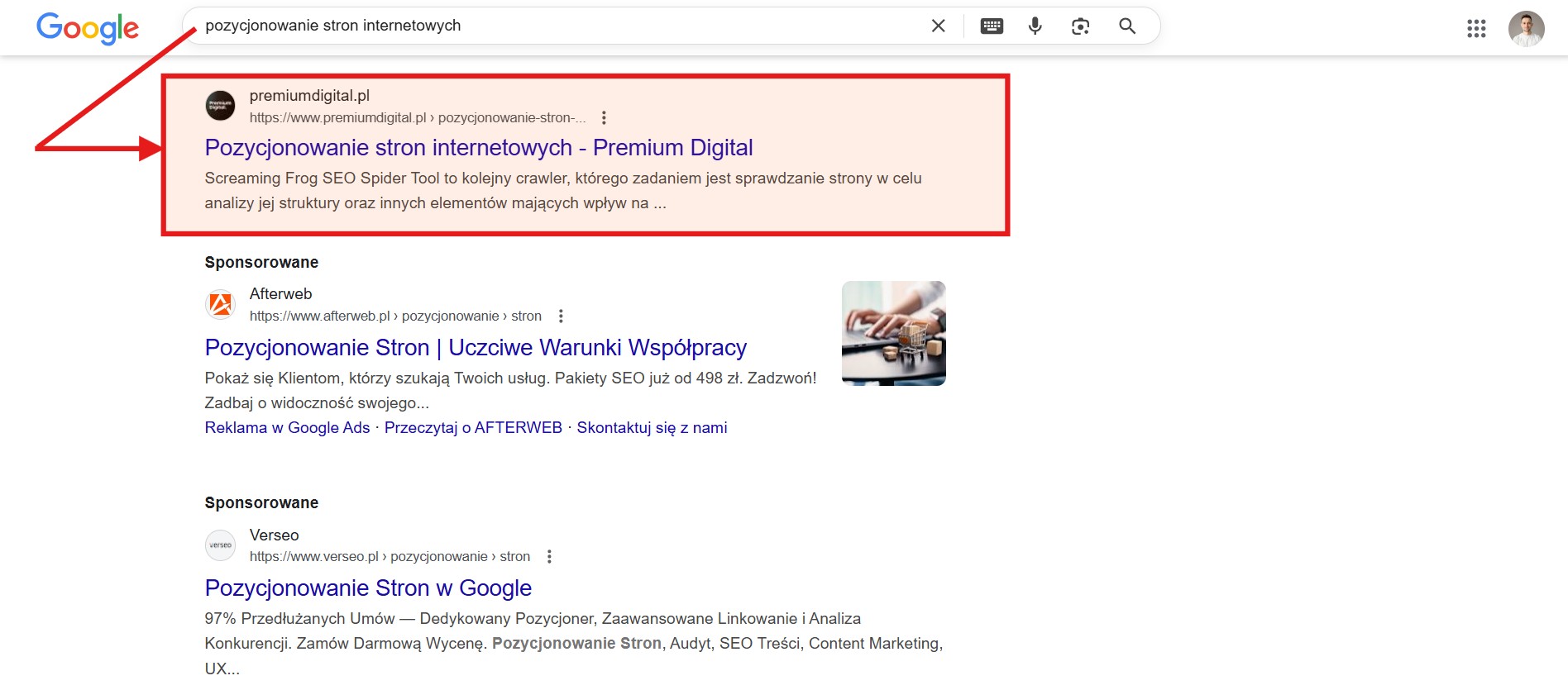 Pozycjonowanie organiczne SEO efekty