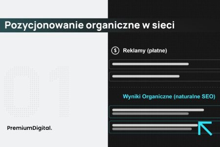 Na zdjęciu pozycjonowanie organiczne.